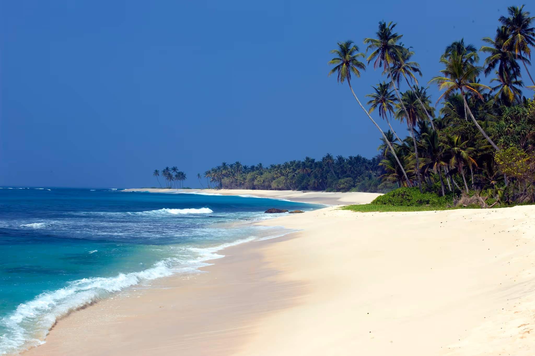 Scenic Bentota coastline with palm-fringed beaches and the Indian Ocean