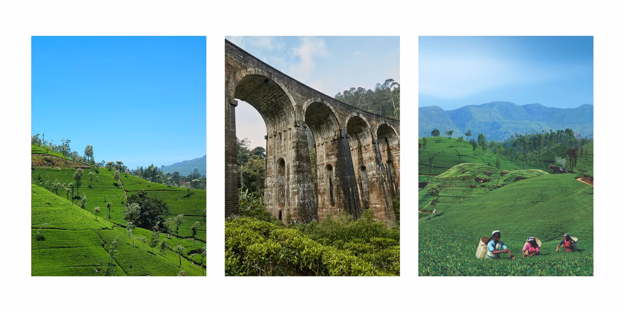 Illustration of Nuwara Eliya and Ella featuring tea plantations, waterfalls, mountain scenery, and Sri Lanka's famous hill-country train.