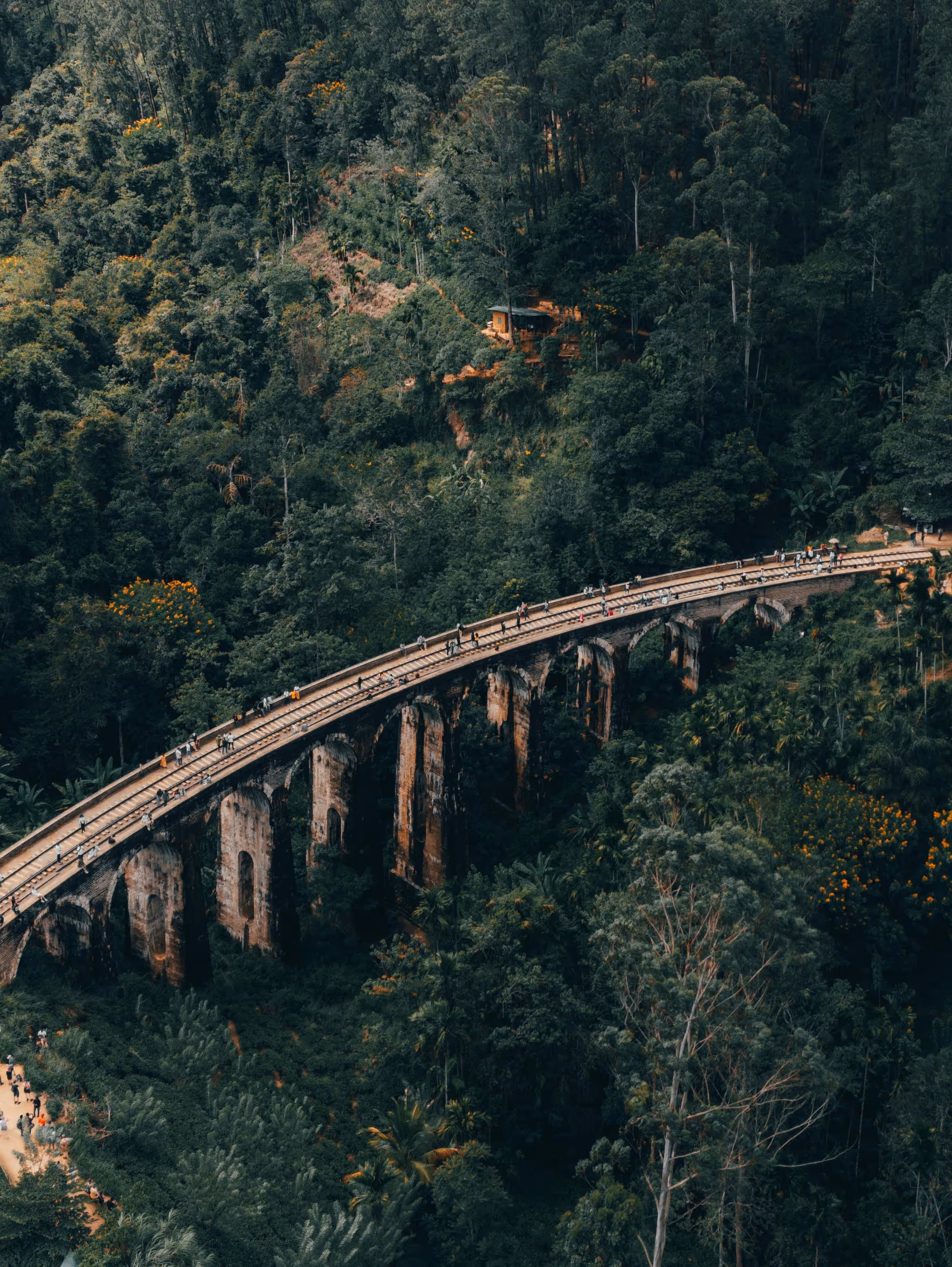 The iconic Nine Arches Bridge in Ella surrounded by lush greenery