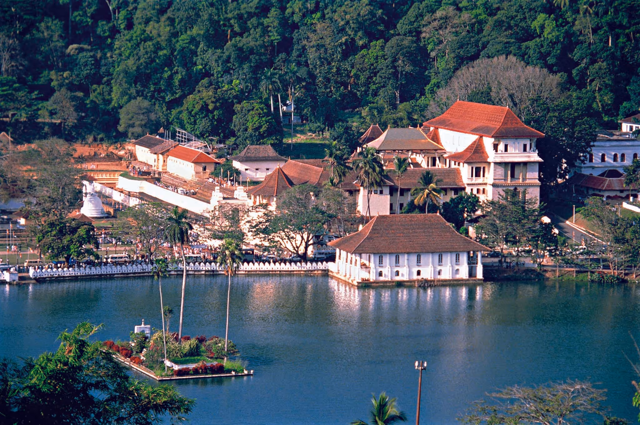 4 Nights Delights of Sri Lanka — tour cover photo