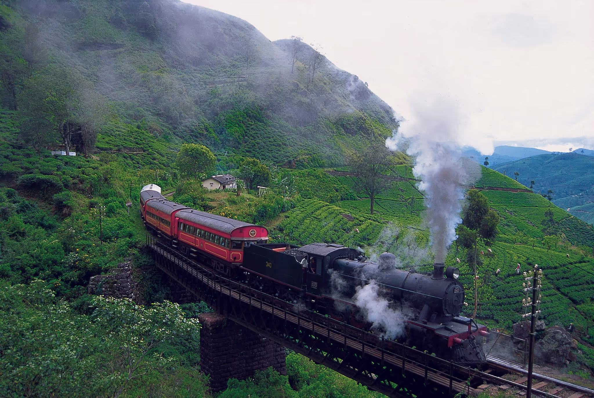 9 Nights Delights of Sri Lanka — tour cover photo