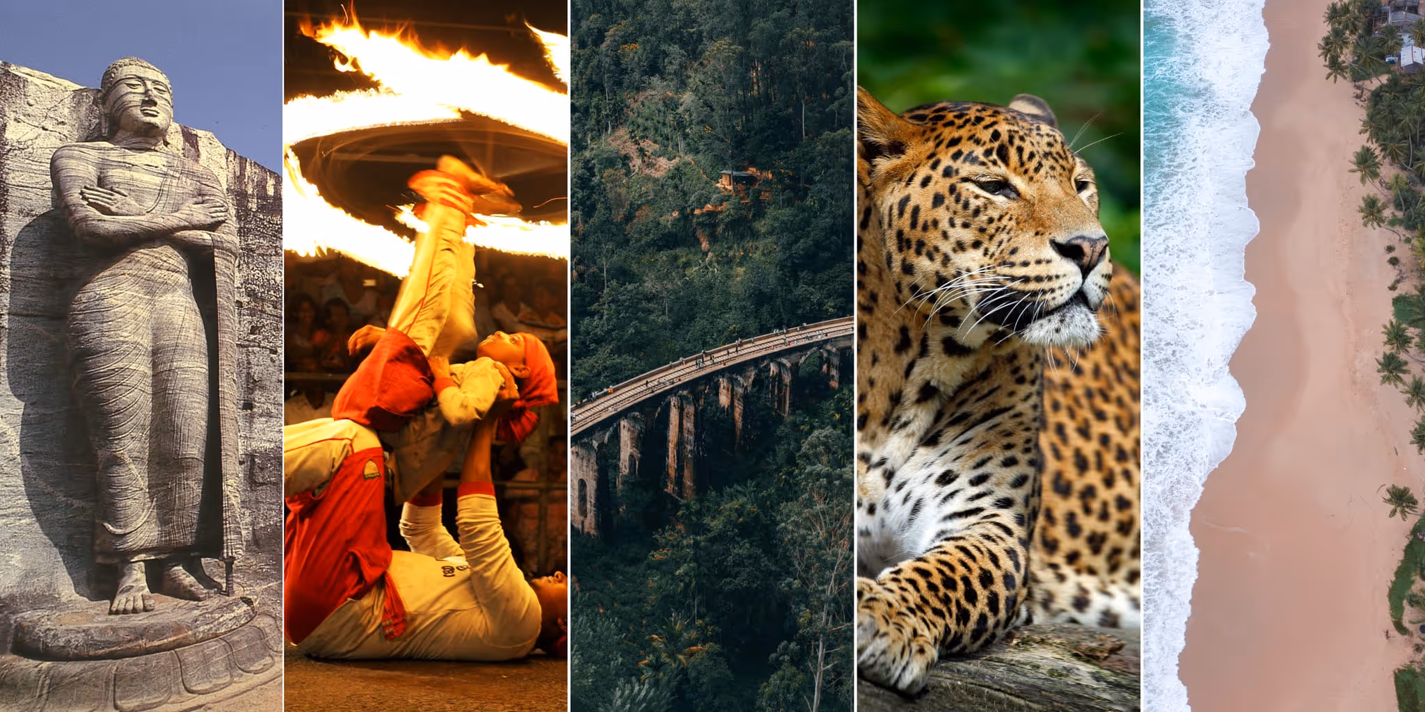 Culture, Wildlife, Tea Country and Beaches in One Unforgettable Journey