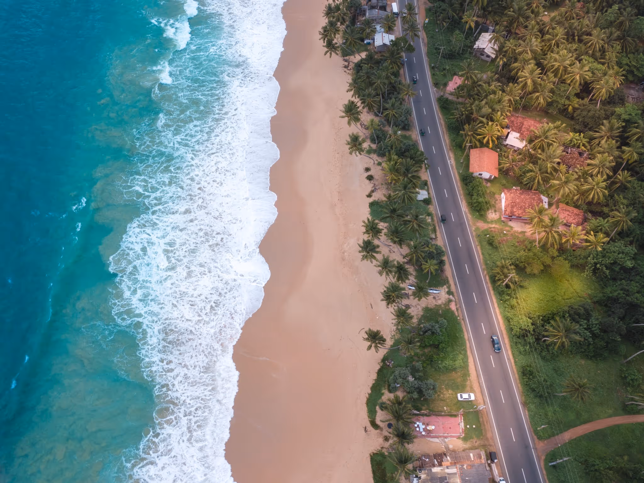 7 Nights Glimpse of Sri Lanka — tour cover photo