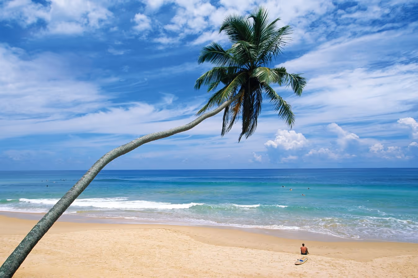 21 Nights Explore Sri Lanka — tour cover photo