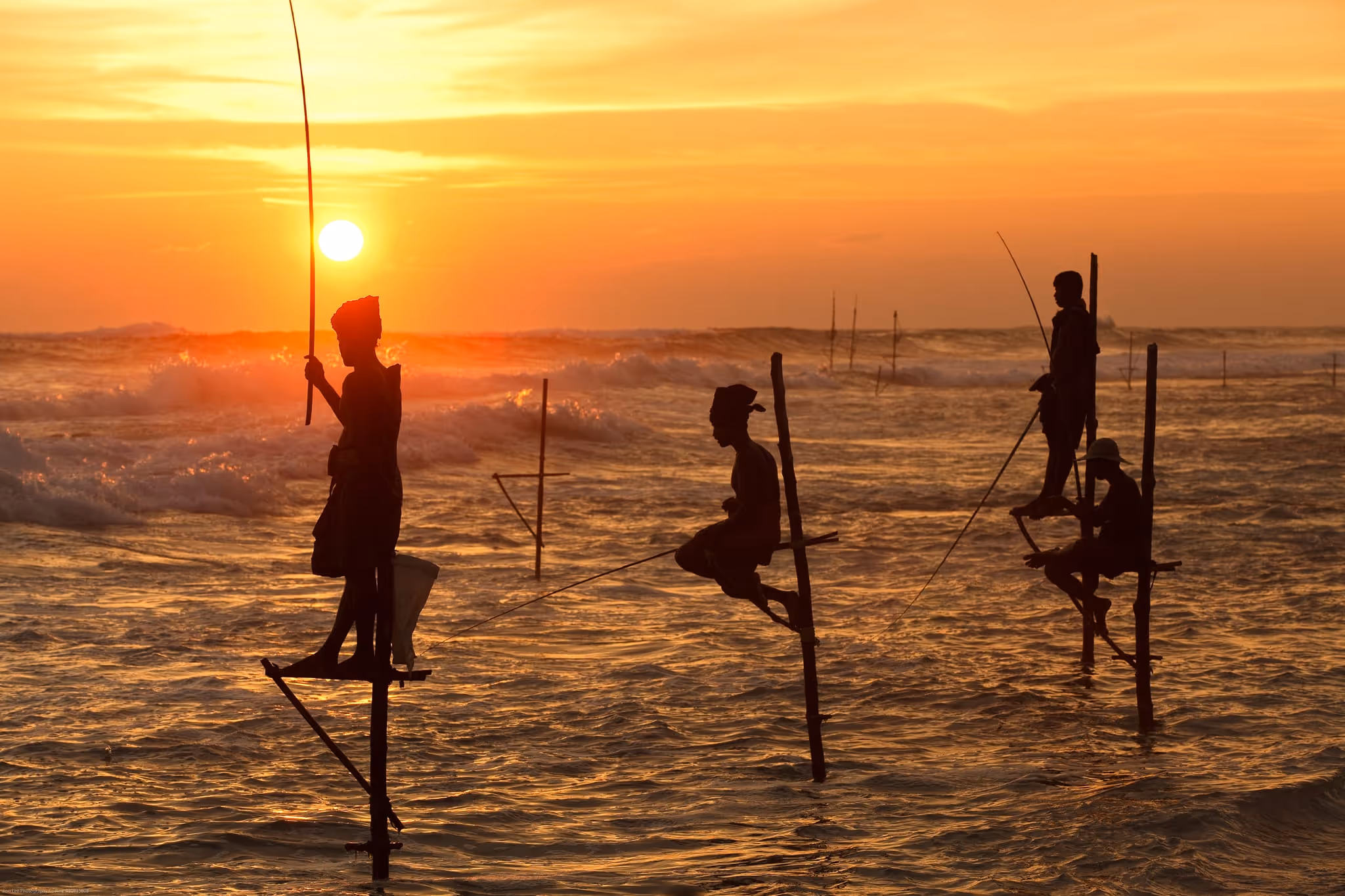 14 Nights Discover Sri Lanka — tour cover photo