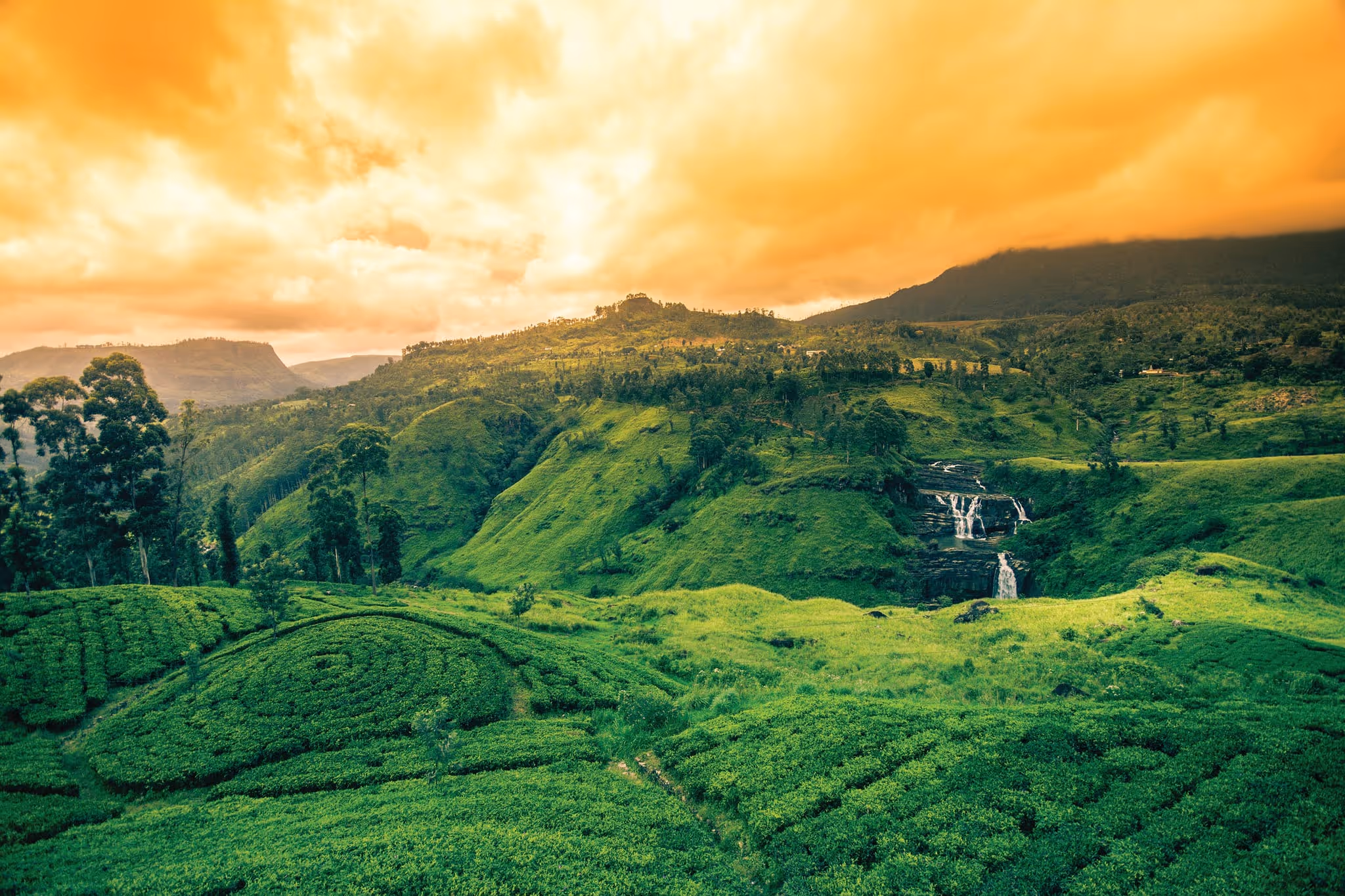 Panoramic view of Sri Lanka’s hill country with emerald-green tea plantations
