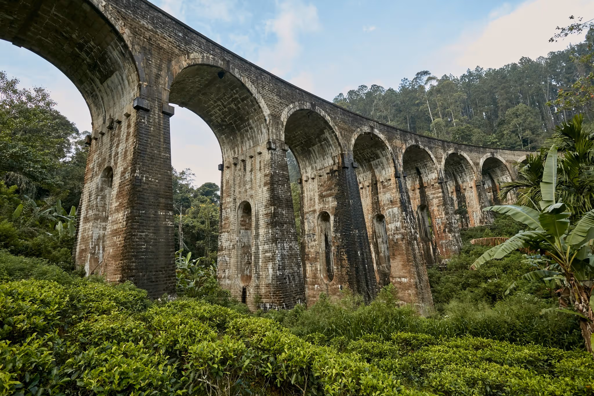 The famous Nine Arches Bridge surrounded by lush forests in Ella