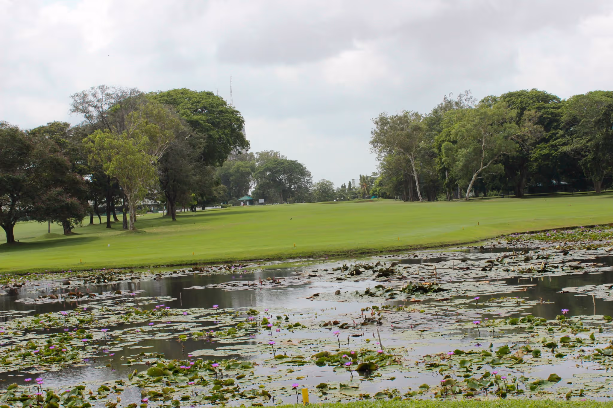 The Royal Colombo Golf Club, one of Asia’s oldest golf courses