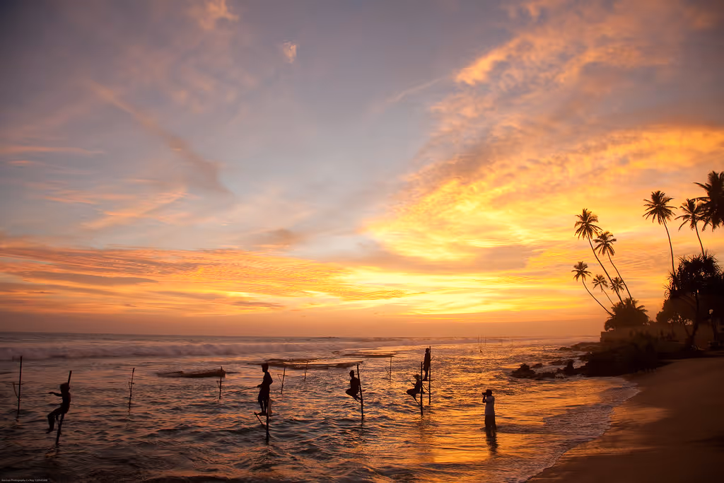 Traditional Sri Lankan stilt fishermen fishing along the southern coast