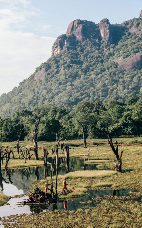 Gal Oya National Park _ Sri Lanka _